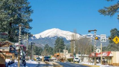 Hughes Cabin at Ruidoso with Forest View - image 2