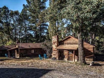 Destiny Cabin 2 Bedrooms Fireplace Midtown Sleeps 7 - image 13