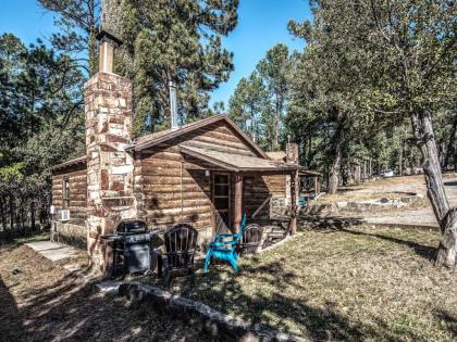 Perfect Cabin 2 Bedrooms Fireplace Midtown Sleeps 5 - image 14