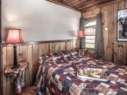 Country Cabin 2 Bedrooms Fireplace Midtown Sleeps 6 - image 14