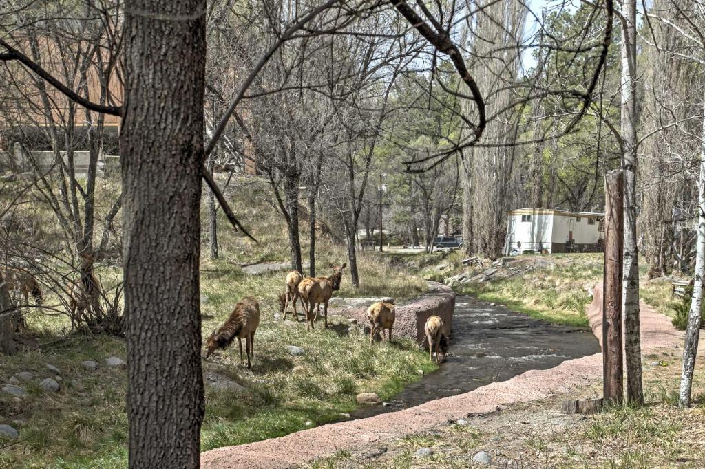 Lovely Creekside Ruidoso Home with Hot Tub and Deck! - image 5