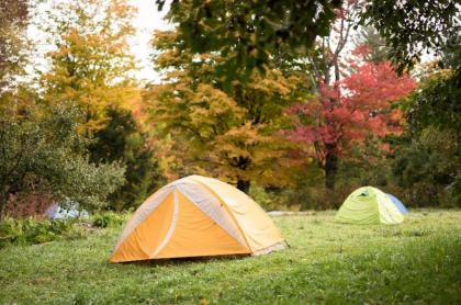 D Acres Farm - Campground - image 13