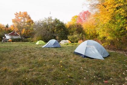 D Acres Farm - Campground - image 15