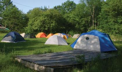 D Acres Farm - Campground - image 2