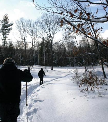 D Acres Farm - Campground - image 6