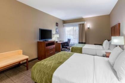 Comfort Inn & Suites Sacramento – University Area - image 3