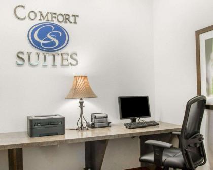 Comfort Suites Saginaw - image 10