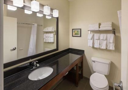 Comfort Suites Saginaw - image 12