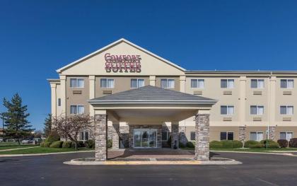 Comfort Suites Saginaw - image 13