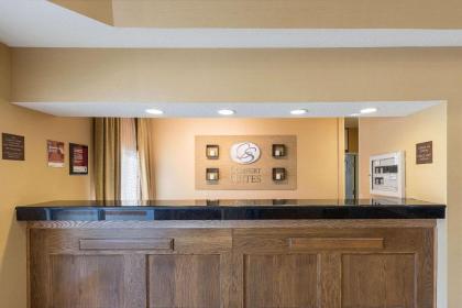 Comfort Suites Saginaw - image 15