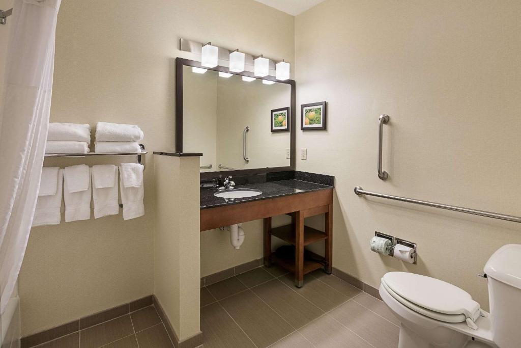 Comfort Suites Saginaw - image 7