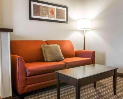 Comfort Suites Saginaw - image 8