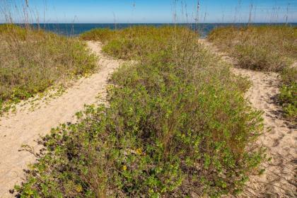 Beachcomber Penthouse - image 15