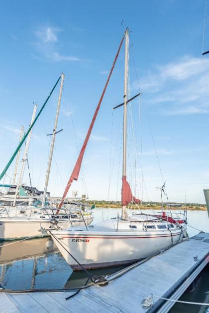 Romantic Escape in Downtown St Augustine - image 5