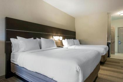 Holiday Inn Express and Suites Chicago West - St Charles an IHG Hotel - image 15