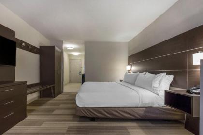 Holiday Inn Express and Suites Chicago West - St Charles an IHG Hotel - image 8