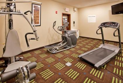 Holiday Inn Express Hotel & Suites St. Charles an IHG Hotel - image 9