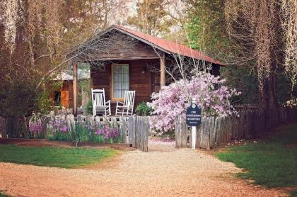 The Myrtles Plantation - image 13