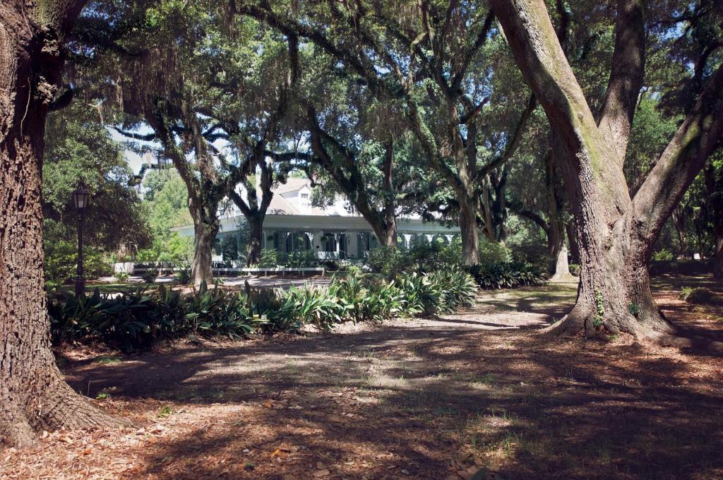 The Myrtles Plantation - image 2