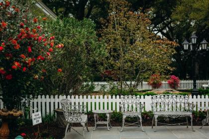 The Myrtles Plantation - image 9