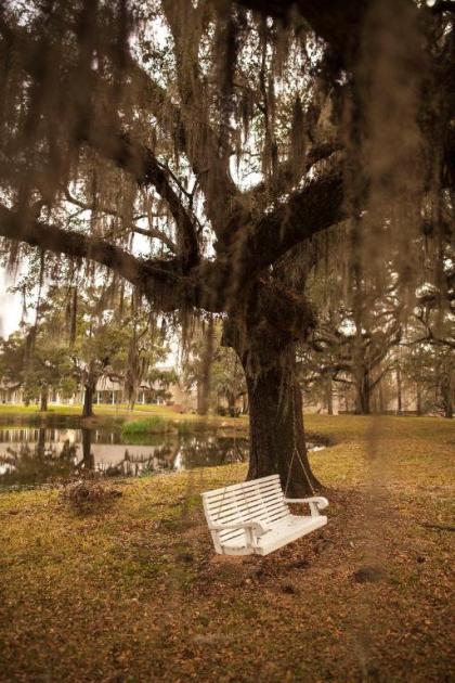 Greenwood Plantation B&B Inn - image 10