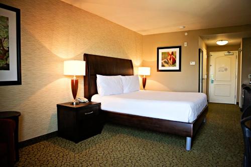 Hilton Garden Inn St. George - image 5