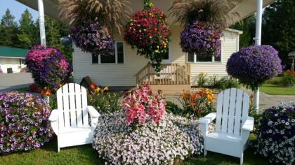 Sunset Motel of St. Ignace - image 1