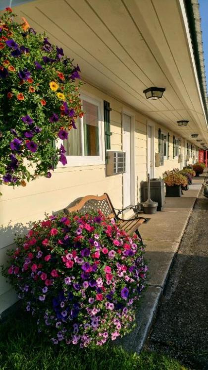 Sunset Motel of St. Ignace - image 11