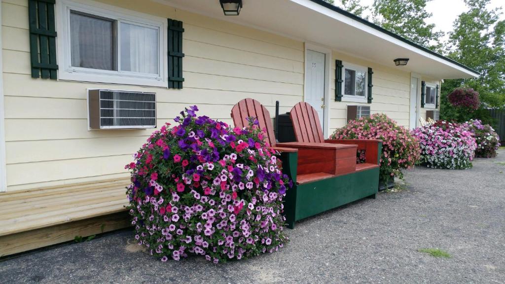 Sunset Motel of St. Ignace - image 3