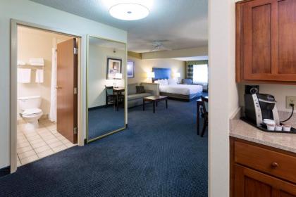 Holiday Inn Express Hotel & Suites-Saint Joseph an IHG Hotel - image 10