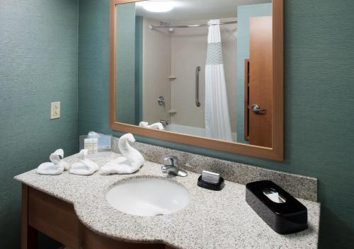 Hampton Inn & Suites St. Louis at Forest Park - image 5