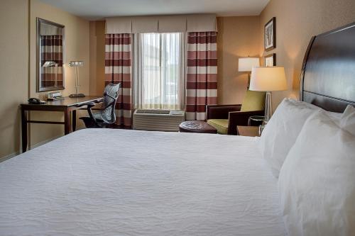 Hilton Garden Inn St. Louis Airport - image 4