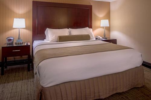 Crowne Plaza Hotel St. Louis Airport an IHG Hotel - image 4