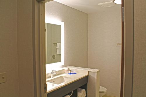 Holiday Inn Express & Suites - St. Louis South - I-55 an IHG Hotel - image 2