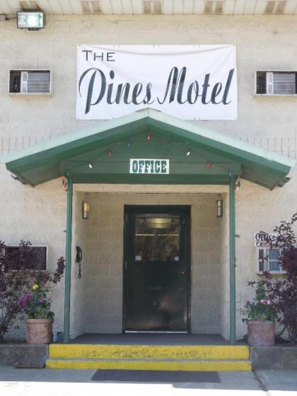 The Pines Motel - image 10