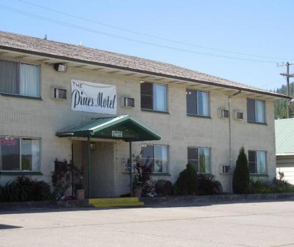 The Pines Motel - image 14