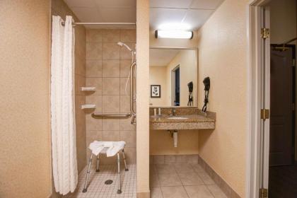 Comfort Inn & Suites St. Paul Northeast - image 10