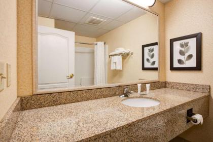 Comfort Inn & Suites St. Paul Northeast - image 9