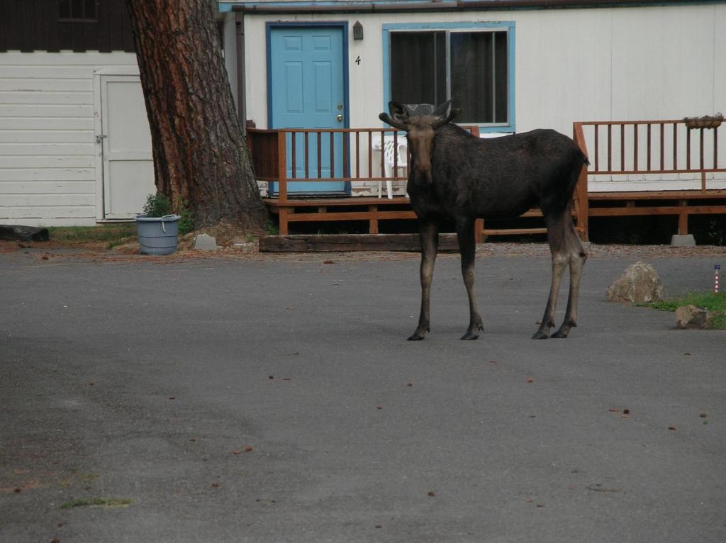 Little River Motel Saint Regis - image 6