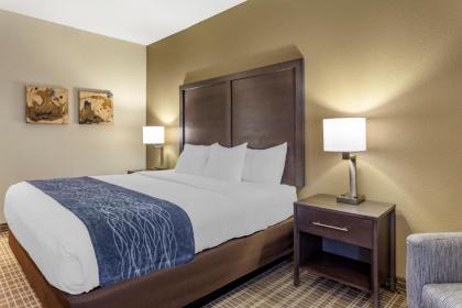 Comfort Inn St. Robert/Fort Leonard Wood - image 12