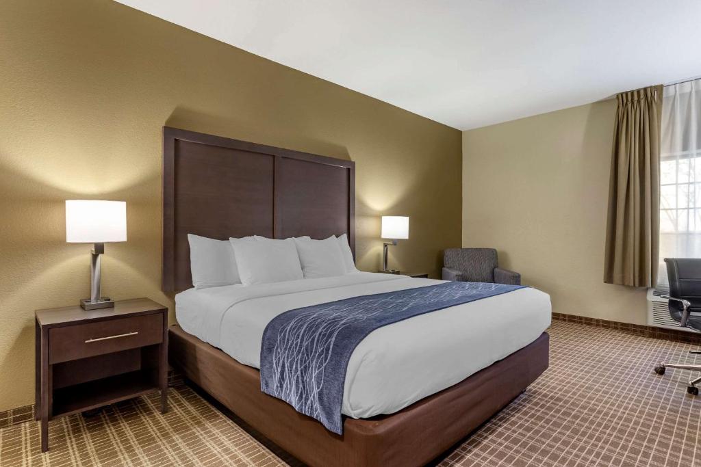 Comfort Inn St. Robert/Fort Leonard Wood - image 6