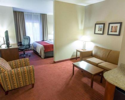 Comfort Inn New Orleans Airport South - image 15