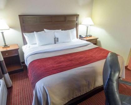 Comfort Inn New Orleans Airport South - image 4