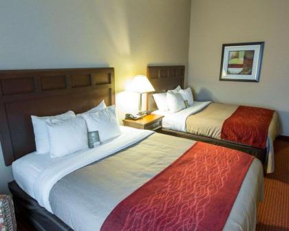 Comfort Inn New Orleans Airport South - image 6