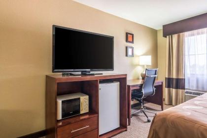 Quality Inn & Suites - image 12