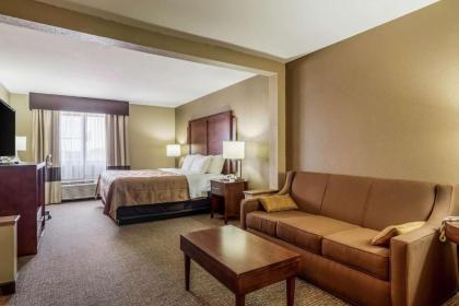 Quality Inn & Suites - image 3