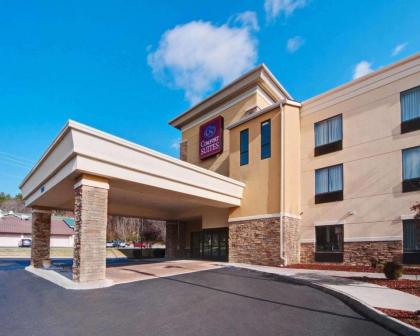 Comfort Suites Salem Roanoke I 81 Virginia