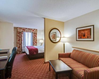 Comfort Suites Salem-Roanoke I-81 - image 14