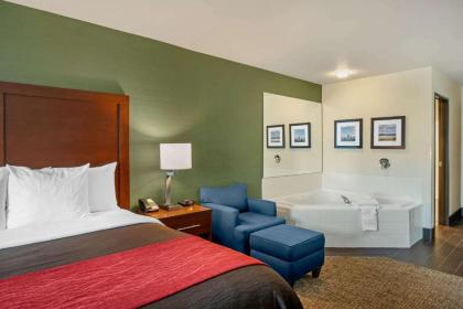 Comfort Inn & Suites Salem - image 12