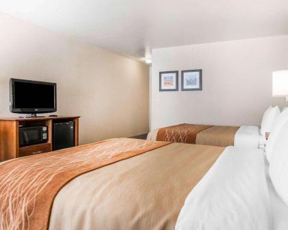 Comfort Inn Salida - image 5